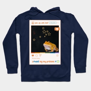 A Voiding My Problems Frog Social Media Post Hoodie